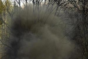 schwarzer Rauch und Feuer. Feuer im Wald. Verbrennen von Müll. foto