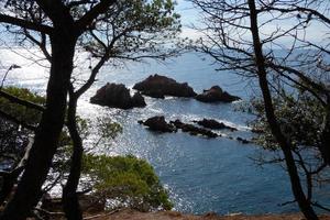 Pinien, Felsen und Klippen an der katalanischen Costa Brava im Mittelmeer foto