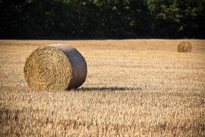 Strohballen auf einem abgeernteten Getreidefeld foto