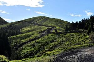 Wanderweg durch üppige Grasfelder auf den Azoren foto