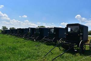 Pferdewagen, die auf einer großen Wiese geparkt sind foto