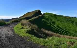 breiter Feldweg zum Wandern rund um Sete Cidades foto