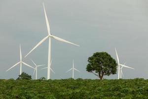 Konzept der erneuerbaren Energiequellen, grüne Energie. innovative Windkraftanlage nachhaltige Stromquelle ist die Erhaltung der globalen Umwelt. Windenergietechnik zur Erhaltung von Ökosystemen. foto