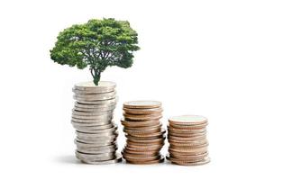 Baum-Plumule-Blatt auf Geldmünzen sparen, Geschäftsfinanzierung spart Bankinvestitionskonzept. foto