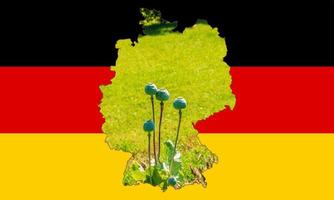 Übersichtskarte von Deutschland mit dem Bild der Nationalflagge. Bild des Mohnkolbens innerhalb der Karte. Collage. Deutschland ist ein bedeutender Mohnproduzent. foto