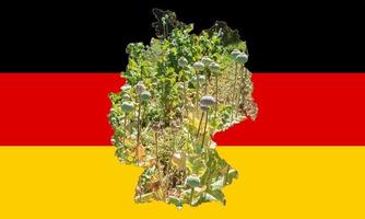Übersichtskarte von Deutschland mit dem Bild der Nationalflagge. Bild des Mohnkolbens innerhalb der Karte. Collage. Deutschland ist ein bedeutender Mohnproduzent. foto