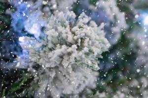 Closeup Weihnachtsbaum mit Schnee Hintergrund foto