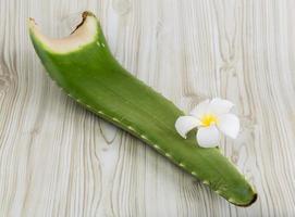 Aloe Vera auf Holz foto