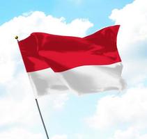 flagge von indonesien foto