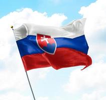 flagge der slowakei foto