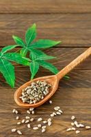 Cannabis cbd oder Hanfprodukte - Hanfsamen und grüne Blätter auf Holztisch