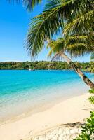 schöner tropischer strand als sommerseelandschaft mit bergen und blauem himmel für reisen in der urlaubsentspannungszeit foto