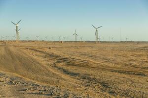 Blick auf den Windpark foto