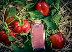 geräucherter roter ungarischer paprika süß oder scharf foto