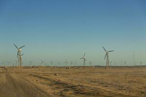 Blick auf den Windpark foto