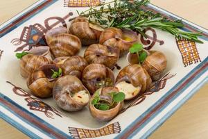 Schnecken auf dem Teller und Holzhintergrund foto