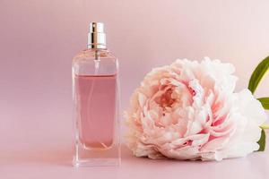 schöne Flasche Damenparfüm auf rosa Hintergrund mit einer schicken Blume aus duftender Pfingstrose. Vorderansicht. vorlage für parfüm und toilettenwasser. foto