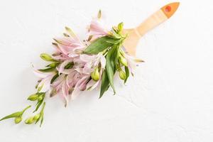 schöne frühlingsblumen alstroemerieae in einer komposition mit einem pinsel. kreative Blumenfärbung. Ansicht von oben. weißer Hintergrund. foto