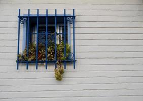 blaue Fenstergitter an einer weißen, mit Blumentöpfen geschmückten Wand foto