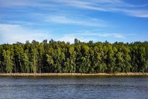 Wasser unter Pinien mit weißen Wolken am Himmelshintergrund mit Kopierraum. Tapeten- oder Banner-Website, Landschaftskonzept foto