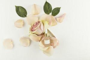 Naturkosmetikprodukt in einer weißen matten Glasflasche mit einer Pipette auf weißem Hintergrund mit Rosenblättern und Blütenknospe. markenloses Mockup. foto
