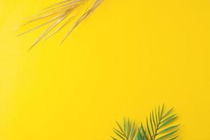 tropischer natürlicher hintergrund mit palmblatt auf gelb. flach liegend, kopierraum foto