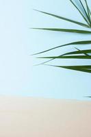 tropischer hintergrund mit palmblatt auf blau und grau. nahaufnahme, kopierraum foto