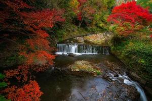 malerische Szene des Herbstes in Japan foto