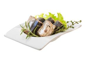 Pazifischer Saury auf Weiß foto