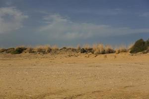 Blick auf die Dünen der Wüste foto