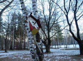 Nistkasten Birke. Birkenhain. Natur foto