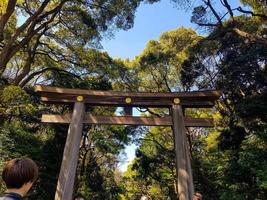 torii-tor am eingang zum meiji-jingu-schrein im stadtwald iat harajuku, tokio. foto