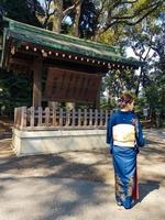 tokio, japan am 15. april 2019. eine touristin, die einen wunderschönen kimono in dunkelblau und gelbgold trägt, am meiji-schrein. foto