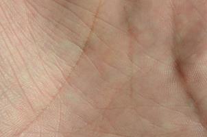 Nahaufnahme der menschlichen Handhaut mit sichtbarer Hautstruktur und Linien foto