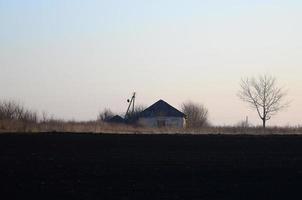 Morgendämmerung im Dorf. ein minimalistisches foto mit einer horizontlinie, auf der ein wohnhaus und ein baum stehen