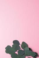 kosmetischer hintergrund mit natürlichem eukalyptushintergrund auf rosa. flach liegend, kopierraum foto