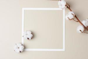 weißer Rahmen mit Baumwollblume auf beigem Hintergrund. flach liegend, kopierraum. foto
