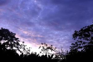 Silhouettenbaum gegen Morgenhimmel als Naturhintergrund foto