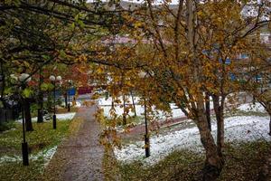 Herbstlandschaft im Park von Petropawlowsk-Kamtschatski foto