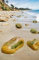 große Steine mit Algen am Strand foto