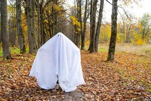 Ein Kind in Laken mit Augenausschnitt wie ein Geisterkostüm in einem Herbstwald erschreckt und erschreckt. ein nettes kleines lustiges Gespenst. Halloween Party foto