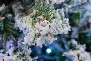 Closeup Weihnachtsbaum mit Schnee Hintergrund foto