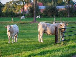 Herbstzeit in Westfalen foto