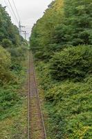 Eisenbahn in der grünen Landschaft foto
