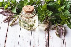 duftendes Minzöl in einer Flasche, Mentha-Pflanzen mit Blumen auf weißem Holzhintergrund, Naturheilkunde und Kräutermedizin foto