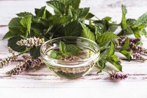 Infundiertes Minzöl in einer Schüssel, Menthablätter und Blumen auf weißem altem Tisch, Kräutermedizin und Naturheilkunde foto