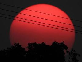 schöner Sonnenuntergang über dem Feld foto