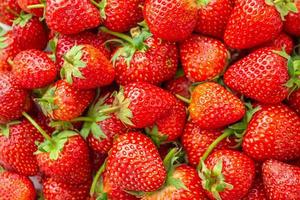 frische organische Erdbeerfrucht Hintergrund Draufsicht Nahaufnahme foto