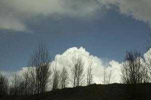 Wald und Wolken. Landschaft mit Silhouetten von Bäumen. natürlicher Standort. foto