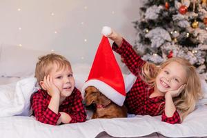 Zwei Kinder, ein Junge und ein Mädchen, liegen zu Weihnachten mit ihrem geliebten Haustier im Bett. hochwertiges Foto